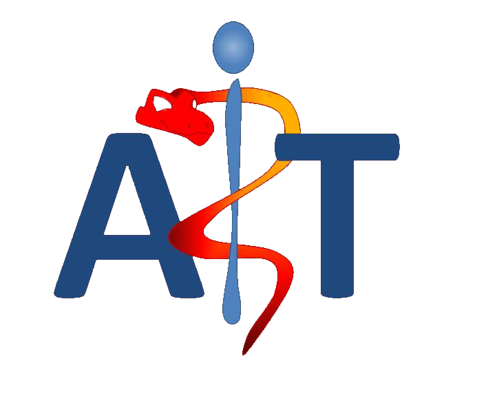 Logo AIT transparent