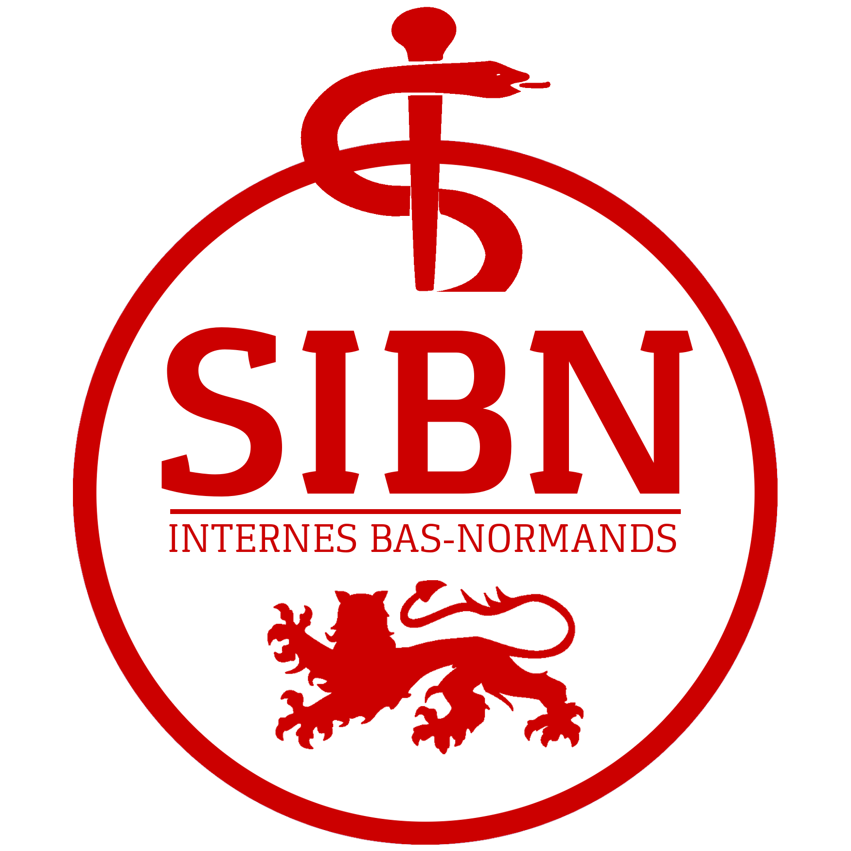 Logo SIBN final