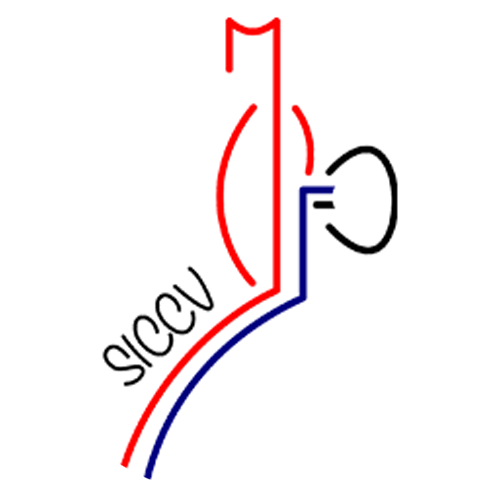 Logo_SICCV
