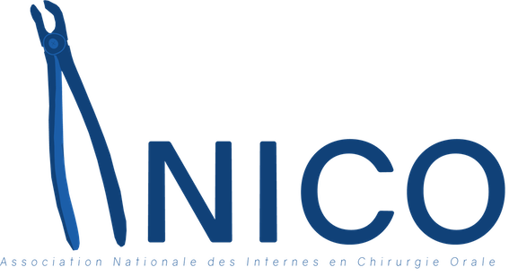 anico final