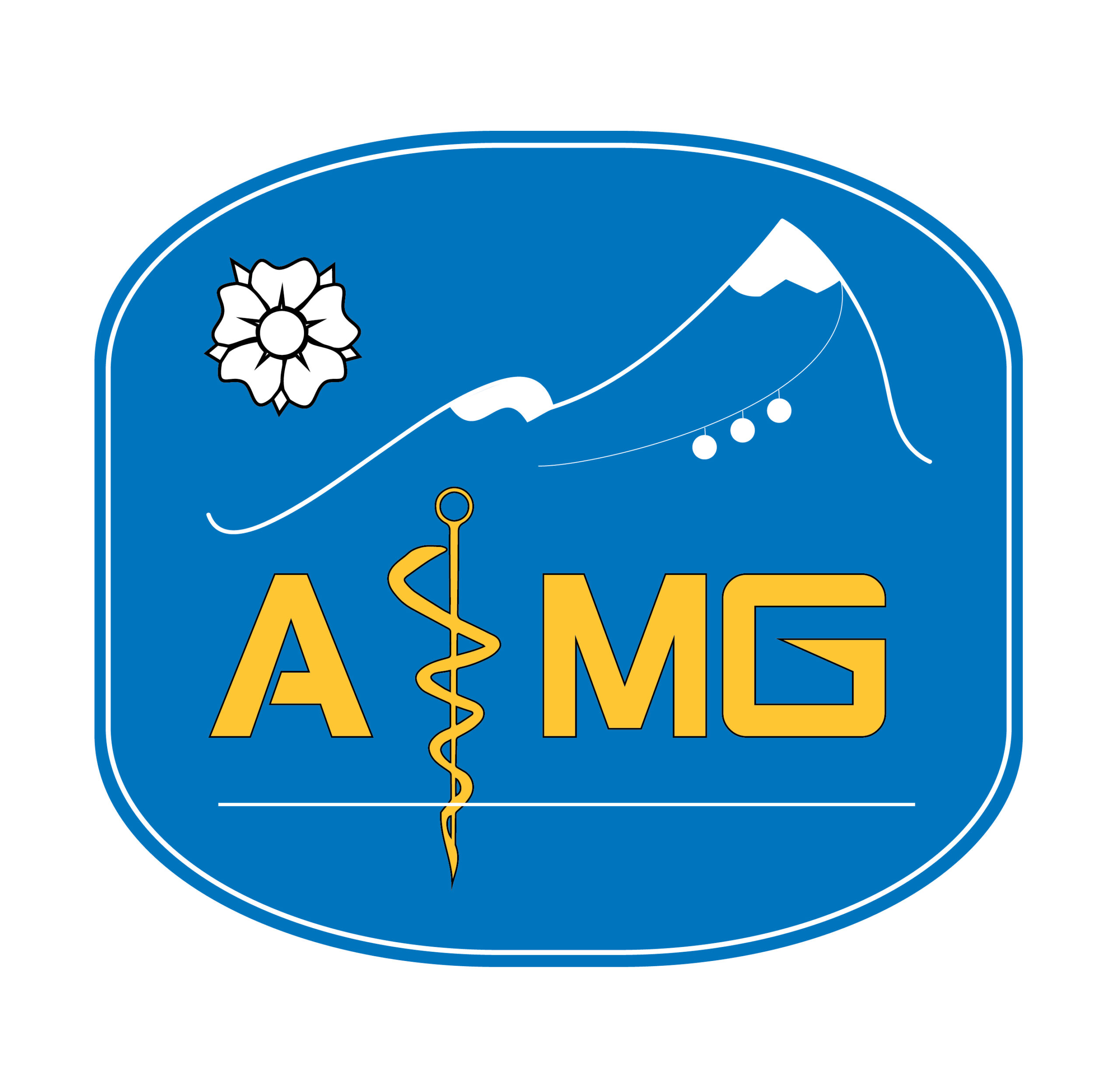 logo AIMG couleur